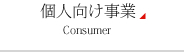 個人向け事業 Consumer
